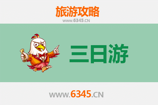 云林莿桐春节三日游攻略 | 深度体验田园花海与年节民俗